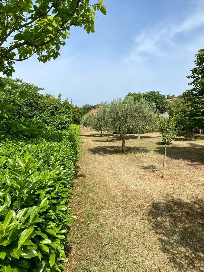 사부드리자 Valica Gardens 빌라 외부 사진